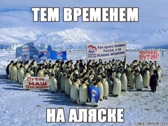 Тем временем на аляске!